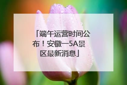 端午运营时间公布！安徽一5A景区最新消息