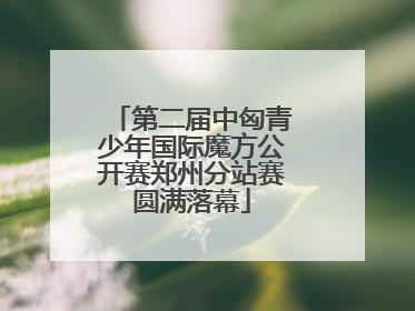 第二届中匈青少年国际魔方公开赛郑州分站赛圆满落幕
