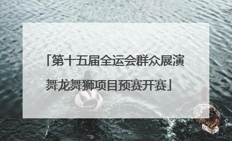 第十五届全运会群众展演舞龙舞狮项目预赛开赛