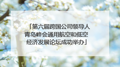 第六届跨国公司领导人青岛峰会通用航空和低空经济发展论坛成功举办
