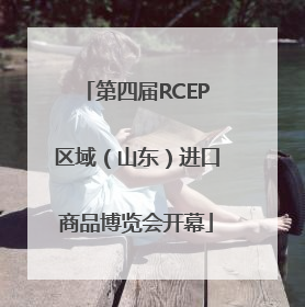 第四届RCEP区域（山东）进口商品博览会开幕