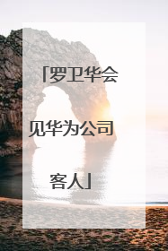 罗卫华会见华为公司客人