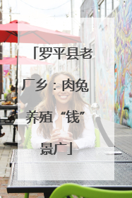 罗平县老厂乡：肉兔养殖“钱”景广
