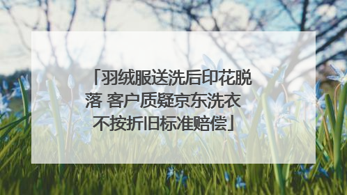 羽绒服送洗后印花脱落 客户质疑京东洗衣不按折旧标准赔偿