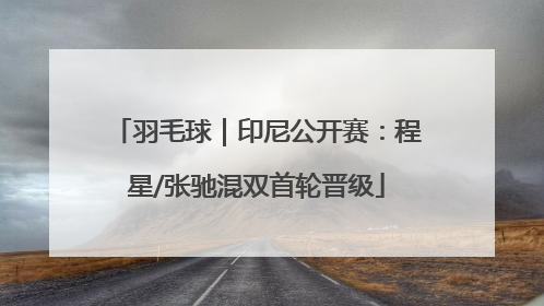 羽毛球｜印尼公开赛：程星/张驰混双首轮晋级