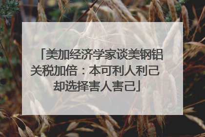 美加经济学家谈美钢铝关税加倍：本可利人利己 却选择害人害己