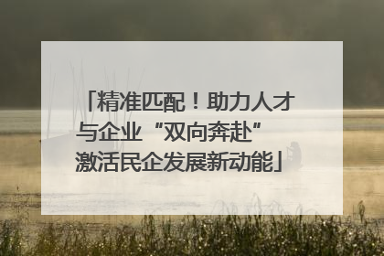 精准匹配！助力人才与企业“双向奔赴” 激活民企发展新动能