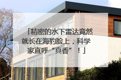精密的水下雷达竟然就长在海豹脸上，科学家直呼“真香”！