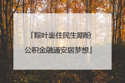 粽叶裹住民生期盼 公积金融通安居梦想