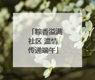 粽香溢满社区 温情传递端午