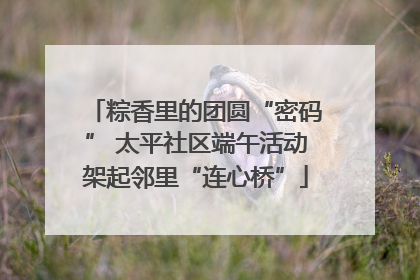 粽香里的团圆“密码” 太平社区端午活动架起邻里“连心桥”