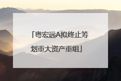 粤宏远A拟终止筹划重大资产重组