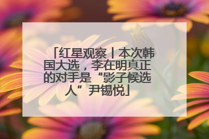 红星观察丨本次韩国大选，李在明真正的对手是“影子候选人”尹锡悦