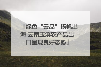 绿色“云品”扬帆出海 云南玉溪农产品出口呈现良好态势