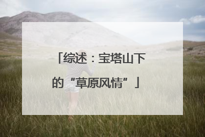 综述：宝塔山下的“草原风情”