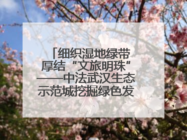 细织湿地绿带 厚结“文旅明珠”——中法武汉生态示范城挖掘绿色发展新动能