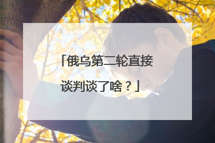 俄乌第二轮直接谈判谈了啥？