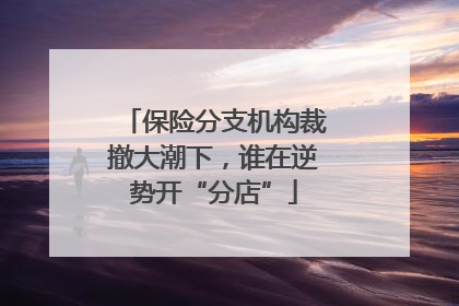 保险分支机构裁撤大潮下，谁在逆势开“分店”