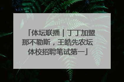体坛联播|丁丁加盟那不勒斯,王皓先农坛体校招聘笔试第一
