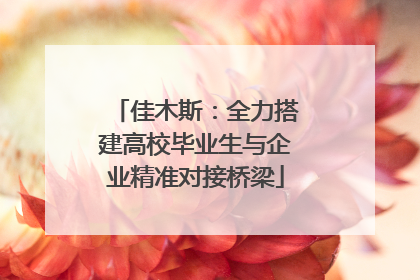 佳木斯：全力搭建高校毕业生与企业精准对接桥梁