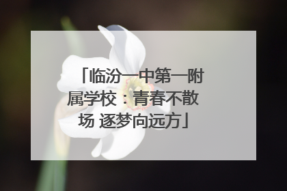 临汾一中第一附属学校：青春不散场 逐梦向远方