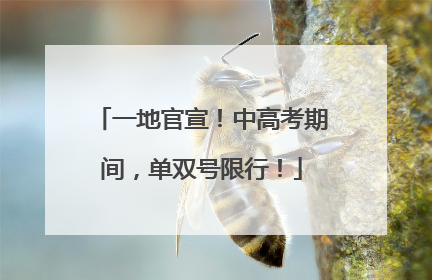 一地官宣！中高考期间，单双号限行！