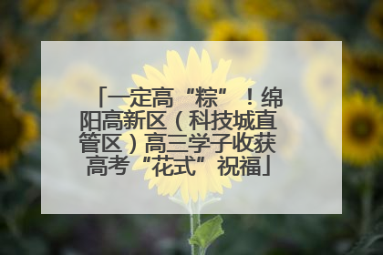 一定高“粽”！绵阳高新区（科技城直管区）高三学子收获高考“花式”祝福