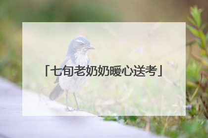 七旬老奶奶暖心送考