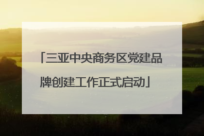 三亚中央商务区党建品牌创建工作正式启动