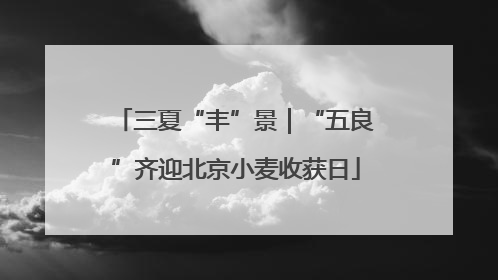 三夏“丰”景｜“五良”齐迎北京小麦收获日