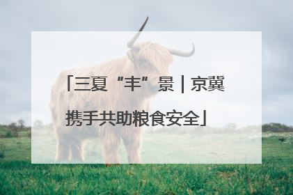 三夏“丰”景｜京冀携手共助粮食安全