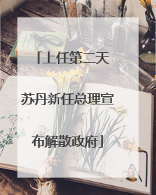 上任第二天 苏丹新任总理宣布解散政府