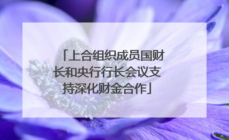 上合组织成员国财长和央行行长会议支持深化财金合作