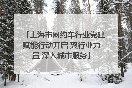 上海市网约车行业党建赋能行动开启 聚行业力量 深入城市服务