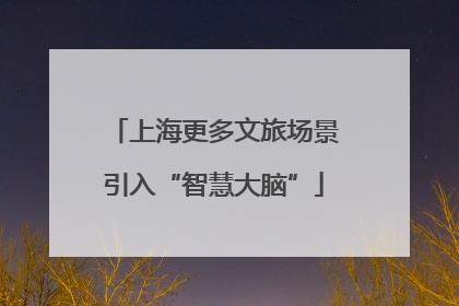上海更多文旅场景引入“智慧大脑”