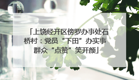 上饶经开区傍罗办事处石桥村：党员“下田”办实事 群众“点赞”笑开颜