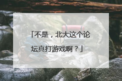 不是，北大这个论坛真打游戏啊？