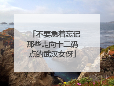 不要急着忘记那些走向十二码点的武汉女伢