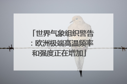 世界气象组织警告：欧洲极端高温频率和强度正在增加
