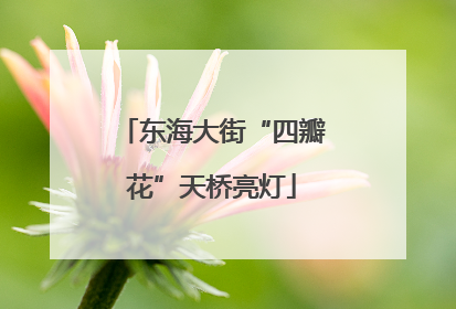 东海大街“四瓣花”天桥亮灯