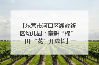东营市河口区湖滨新区幼儿园：童耕“棉”田 “花”开成长