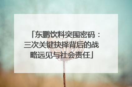 东鹏饮料突围密码：三次关键抉择背后的战略远见与社会责任