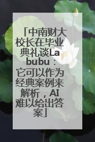 中南财大校长在毕业典礼谈Labubu：它可以作为经典案例来解析，AI难以给出答案