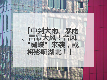中到大雨、暴雨、雷暴大风！台风“蝴蝶”来袭，或将影响湖北！