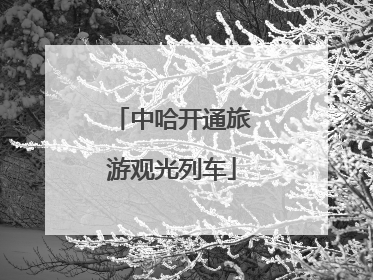 中哈开通旅游观光列车