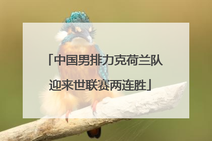 中国男排力克荷兰队 迎来世联赛两连胜