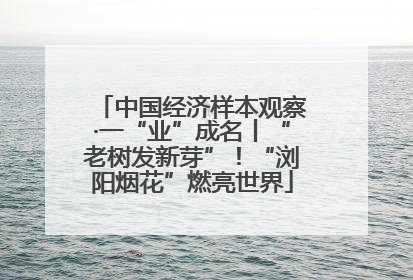 中国经济样本观察·一“业”成名丨“老树发新芽”！“浏阳烟花”燃亮世界