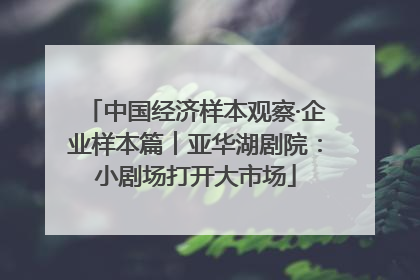 中国经济样本观察·企业样本篇︱亚华湖剧院：小剧场打开大市场