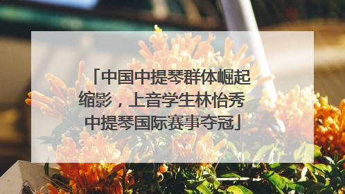 中国中提琴群体崛起缩影，上音学生林怡秀中提琴国际赛事夺冠