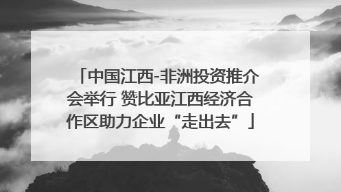 中国江西-非洲投资推介会举行 赞比亚江西经济合作区助力企业“走出去”